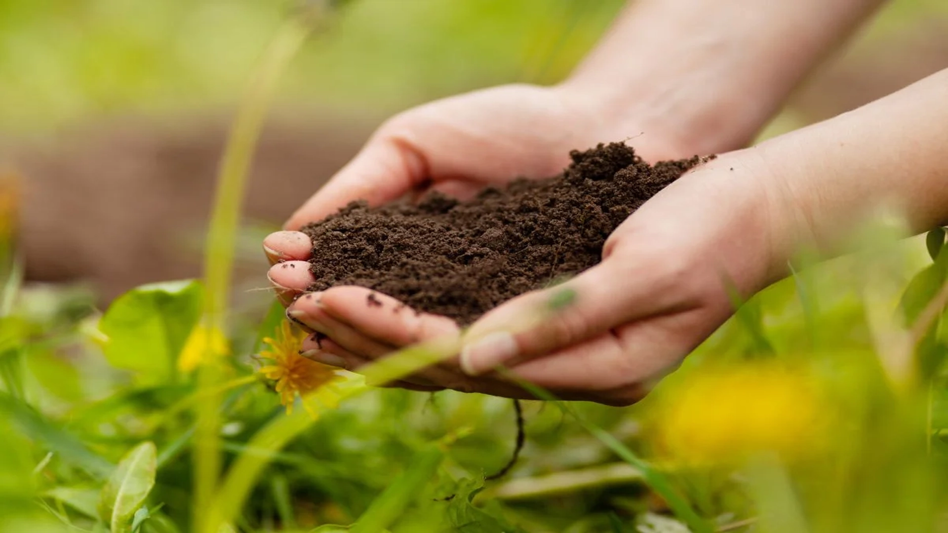 ECOfarm
